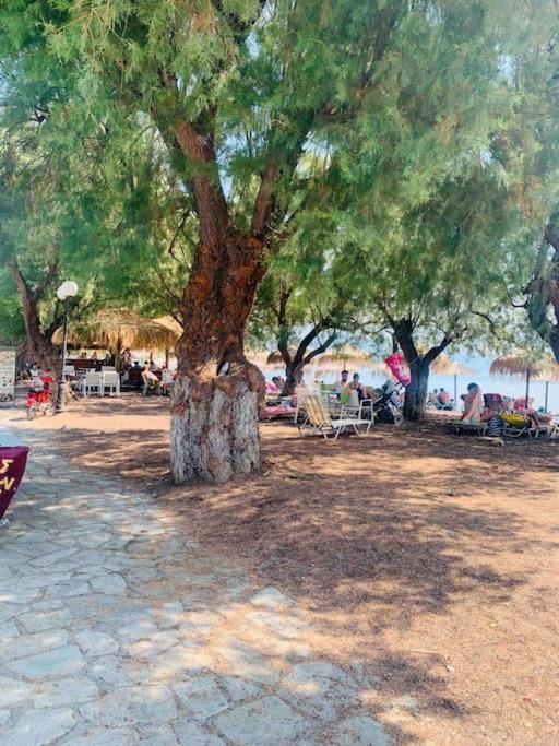 Néa Ankhíalos Villa ,,Sea Breeze,, - Home By The Sea מראה חיצוני תמונה