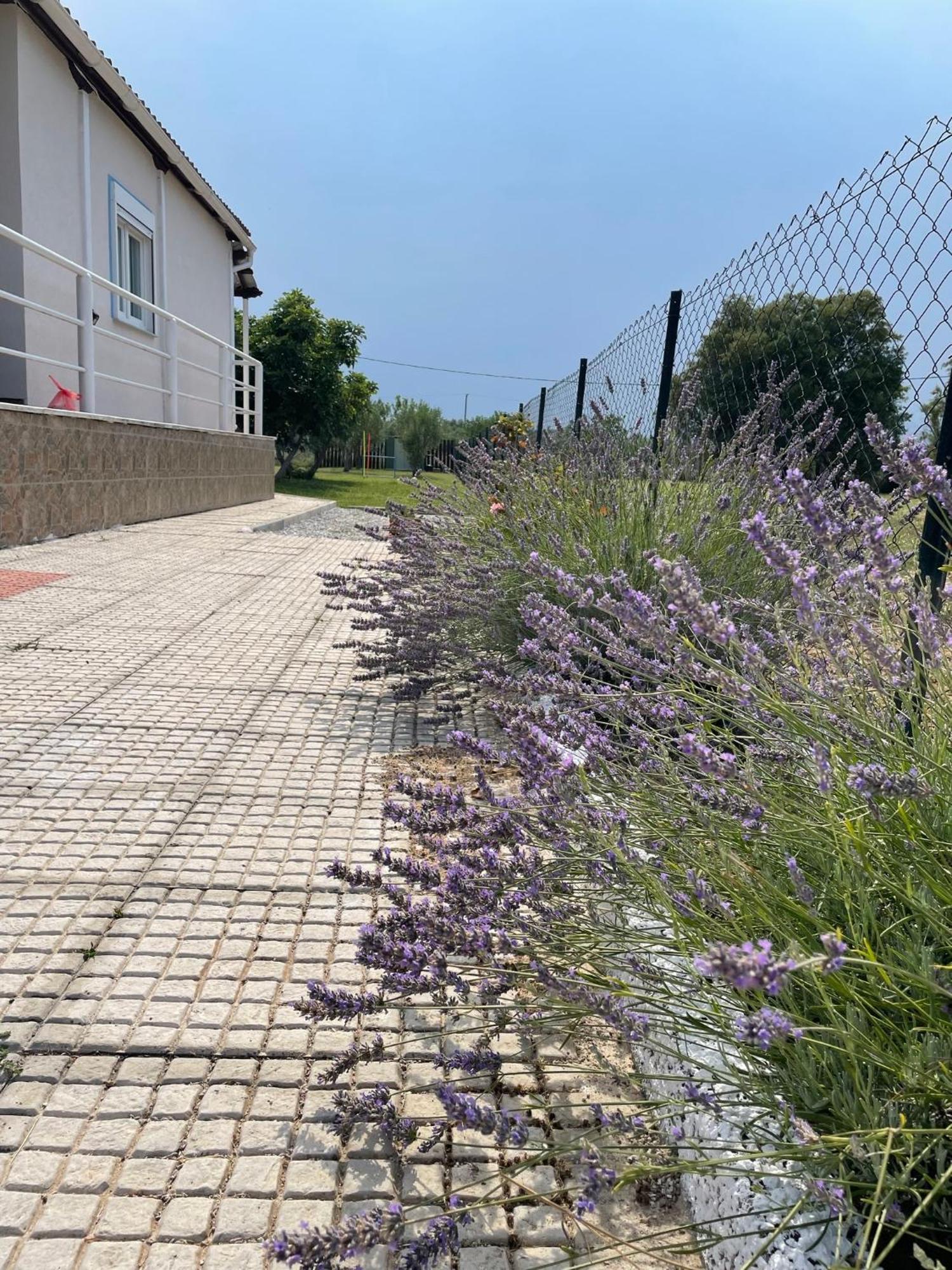 Néa Ankhíalos Villa ,,Sea Breeze,, - Home By The Sea מראה חיצוני תמונה